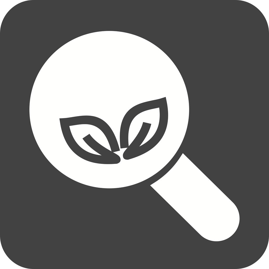 Organic Search Flat Round Corner Icon - IconBunny