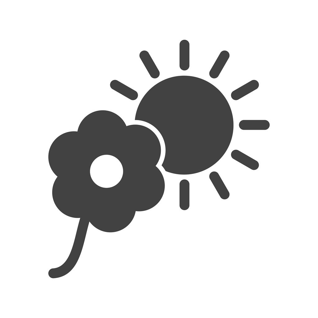 Flower in sunlight Glyph Icon - IconBunny