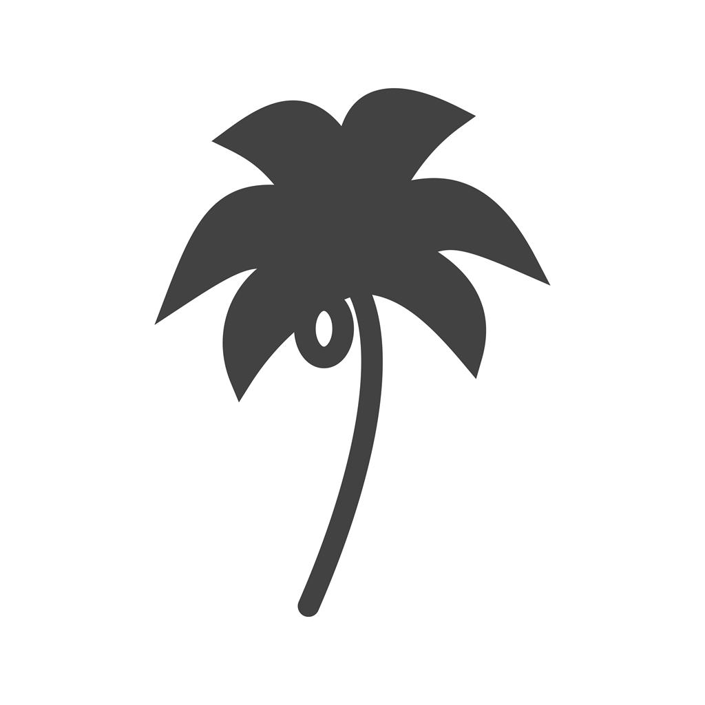 Coconut trees Glyph Icon - IconBunny