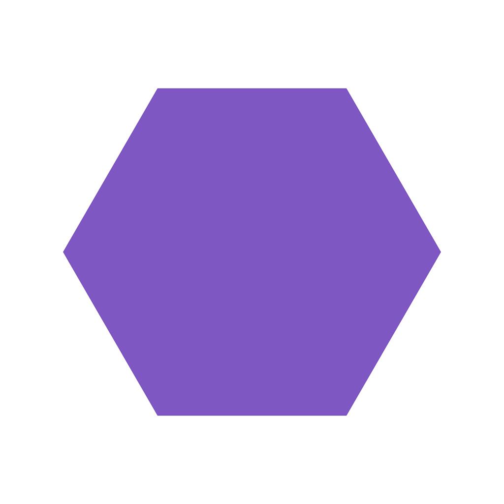Hexagon Flat Multicolor Icon - IconBunny