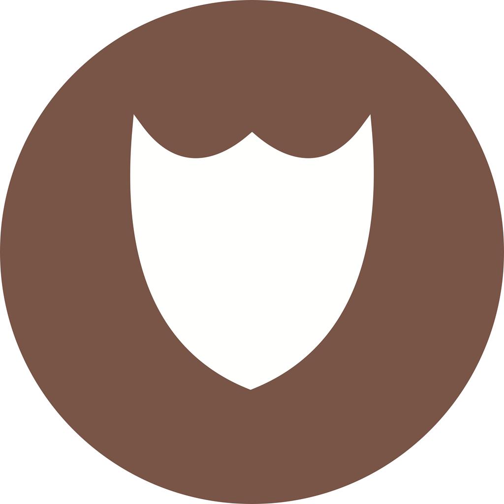 Shield II Flat Round Icon - IconBunny