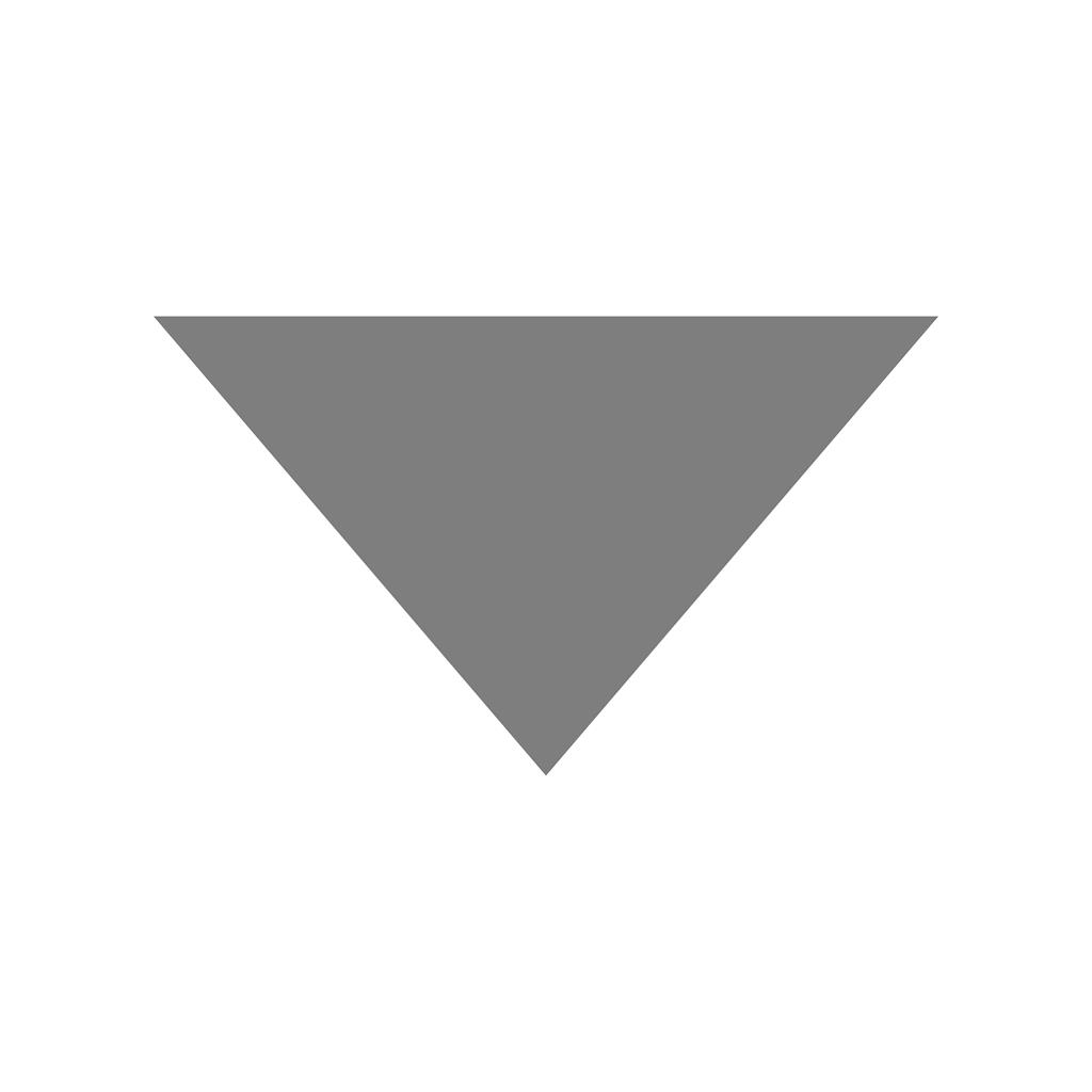 Triangle Arrow Down Greyscale Icon
