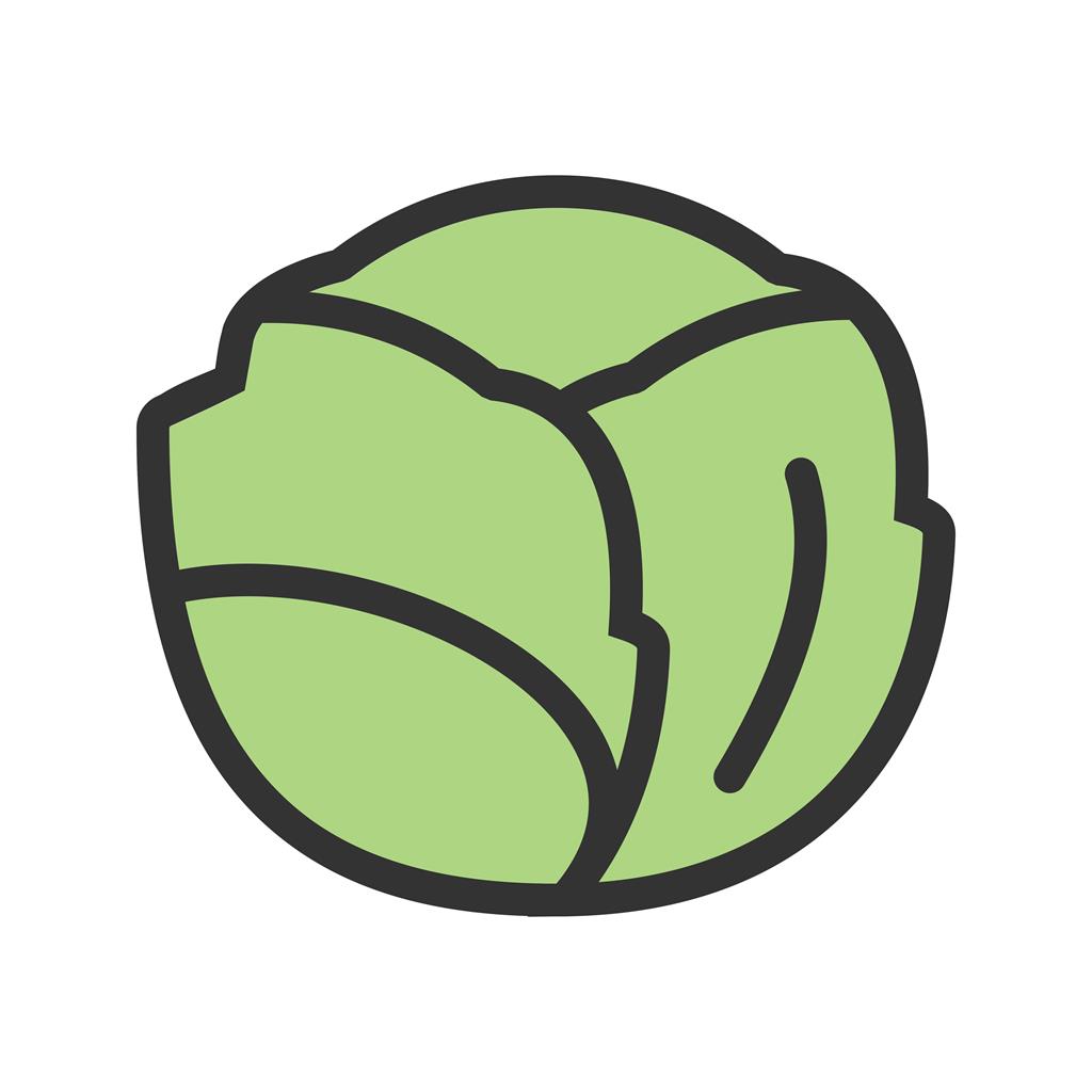 Cabbage Line Filled Icon