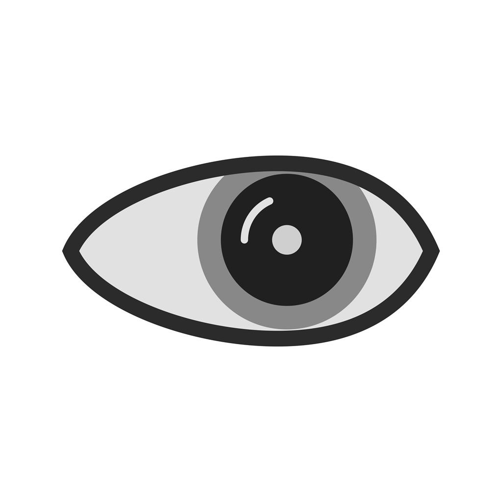 Eye Greyscale Icon - IconBunny
