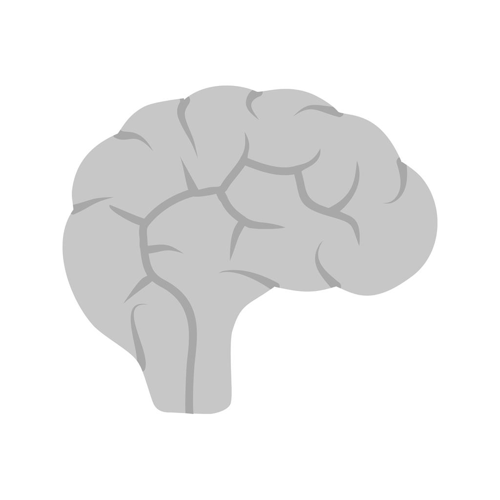 Brain Greyscale Icon - IconBunny