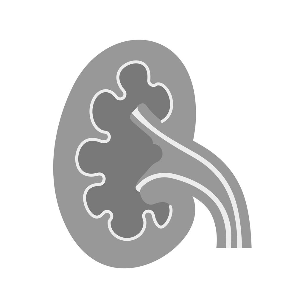 Kidney Greyscale Icon - IconBunny