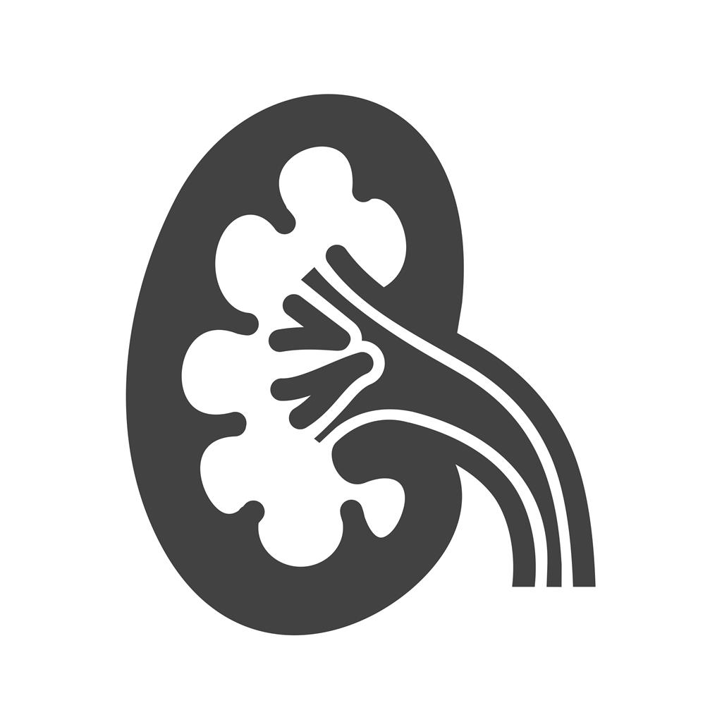 Kidney Glyph Icon - IconBunny