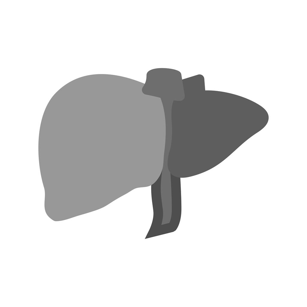 Liver Greyscale Icon - IconBunny