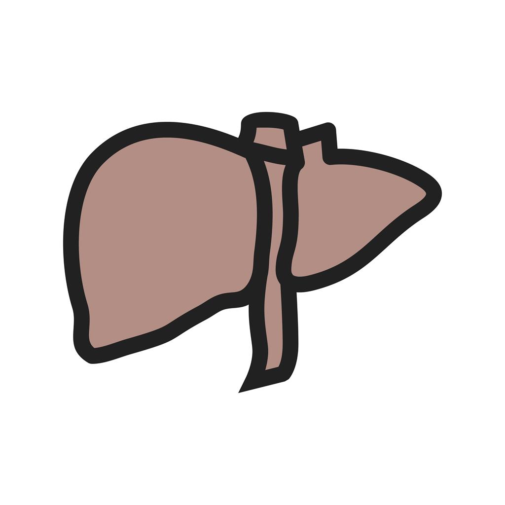 Liver Line Filled Icon - IconBunny