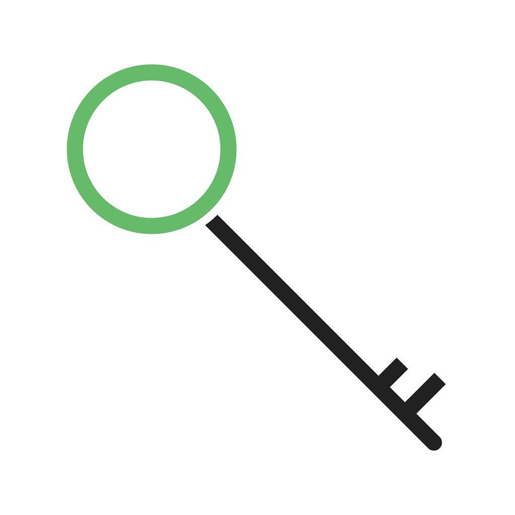 Key Line Green Black Icon