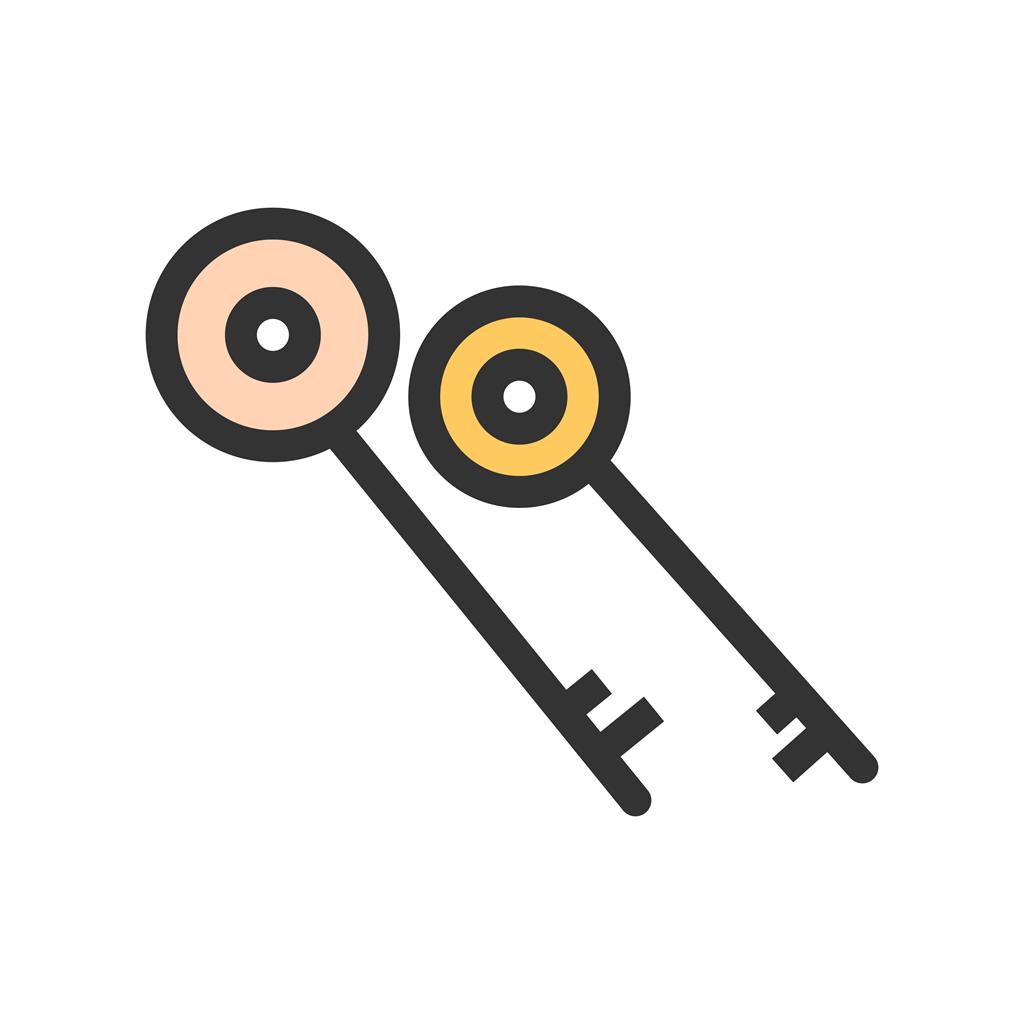 Two Keys Line Filled Icon