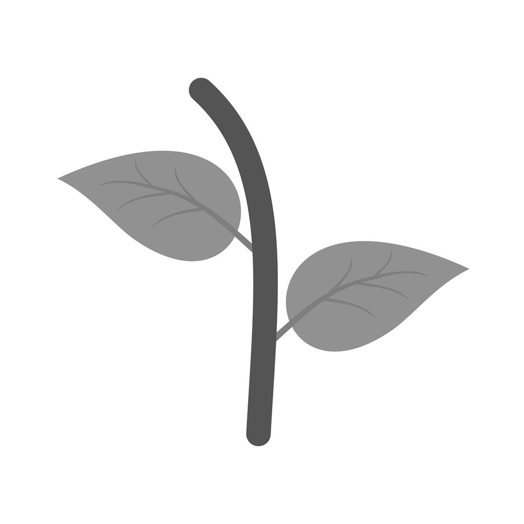 Two Leaves Greyscale Icon