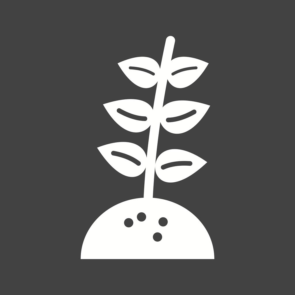 Plant IV Glyph Inverted Icon
