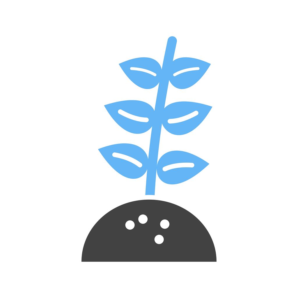 Plant IV Blue Black Icon