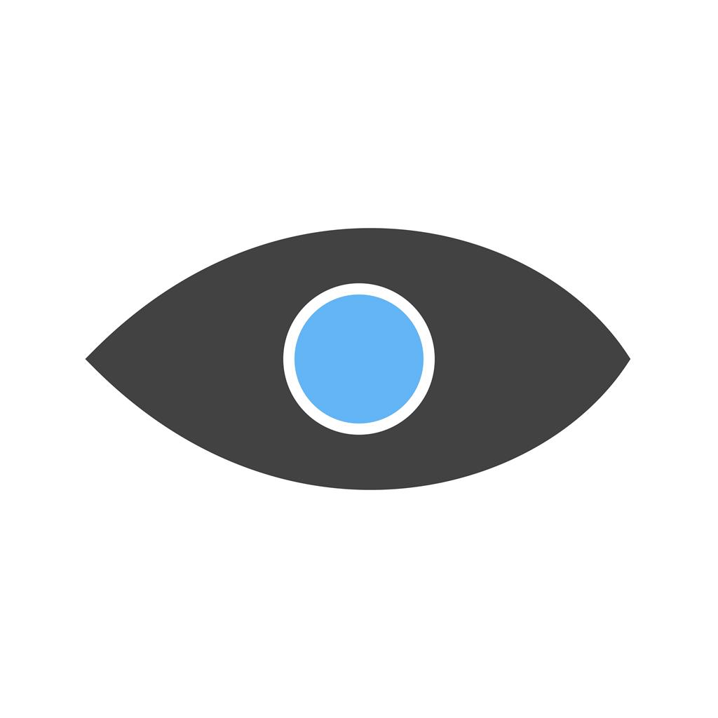 Eye Blue Black Icon