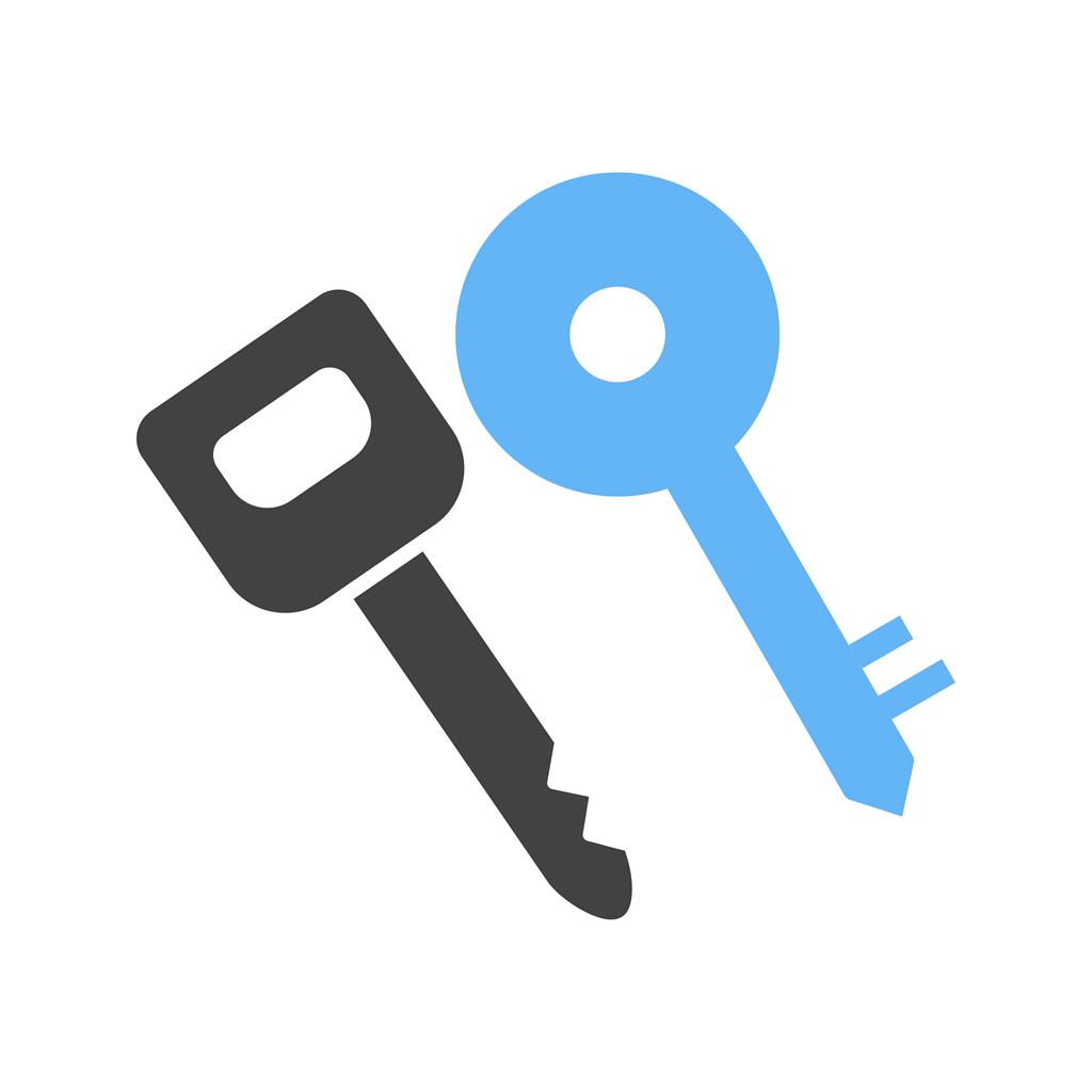 Keys Blue Black Icon