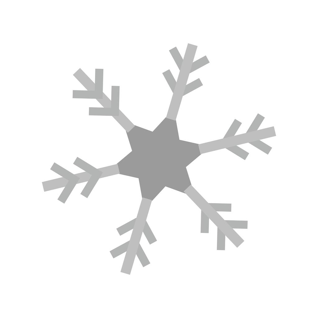 Snowflake Greyscale Icon