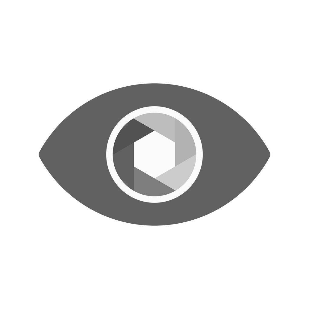 Eye Greyscale Icon