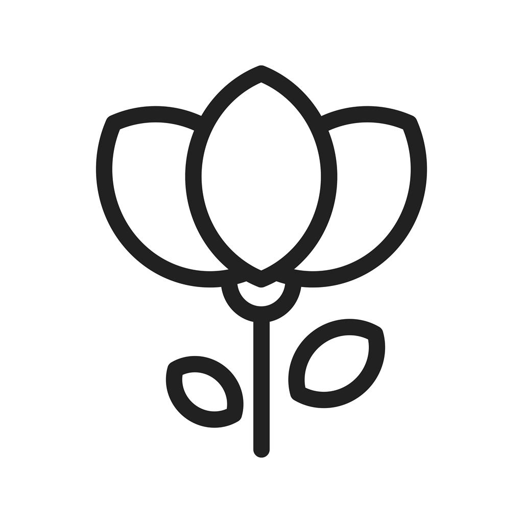 Flower Line Icon