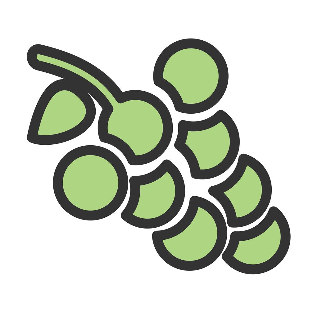 Grapes Line Filled Icon - IconBunny