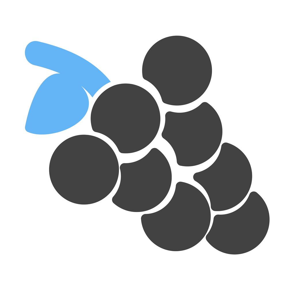 Grapes Blue Black Icon - IconBunny