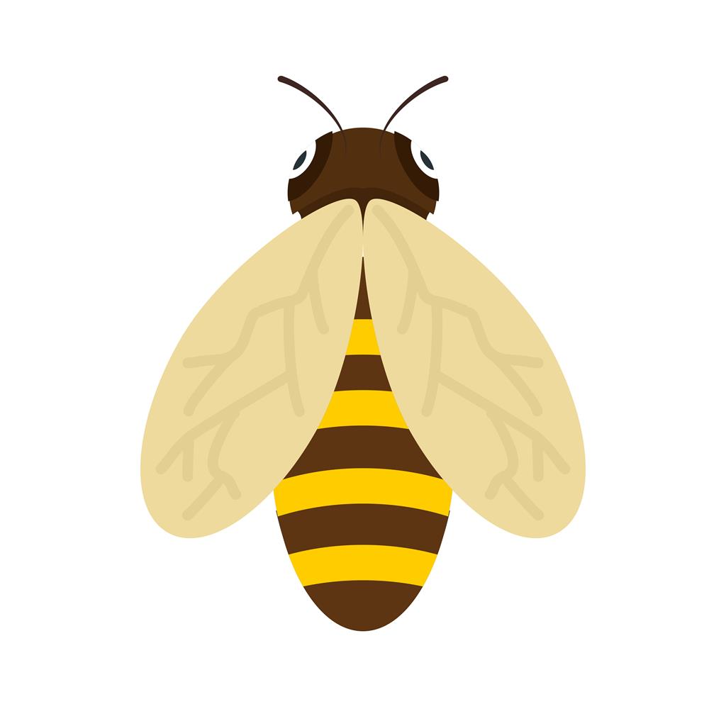 Bee Flat Multicolor Icon - IconBunny