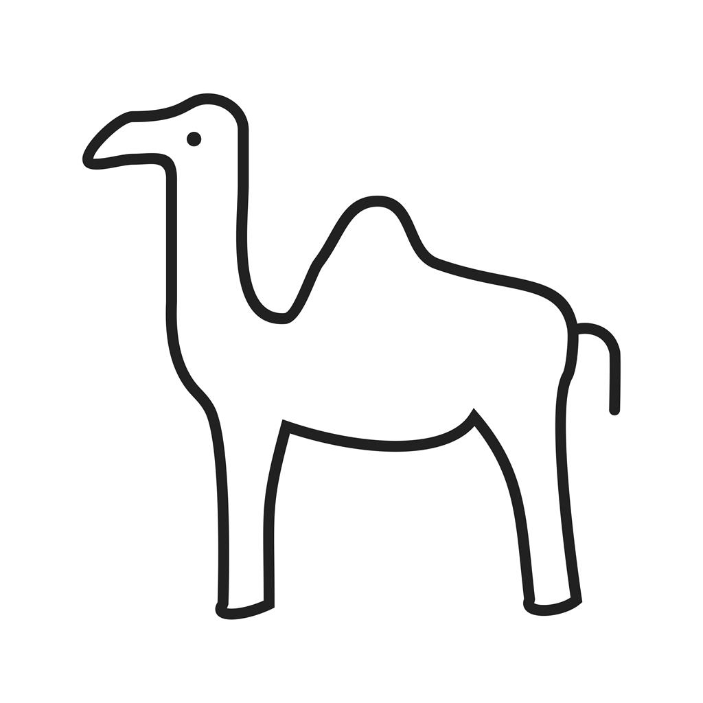 Camel Line Icon - IconBunny