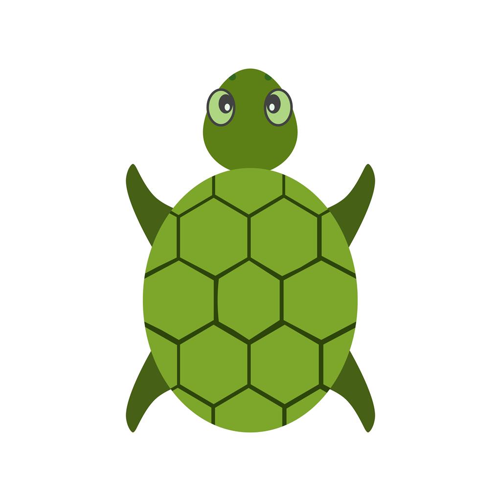 Turtle Flat Multicolor Icon - IconBunny