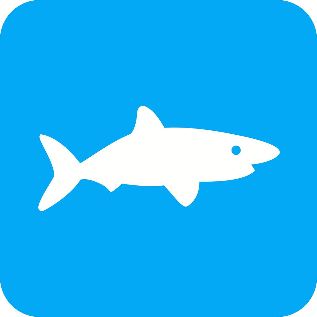 Shark Flat Round Corner Icon - IconBunny