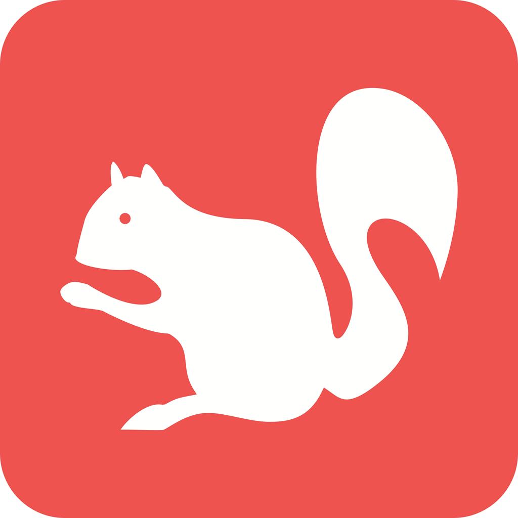 Squirrel Flat Round Corner Icon - IconBunny
