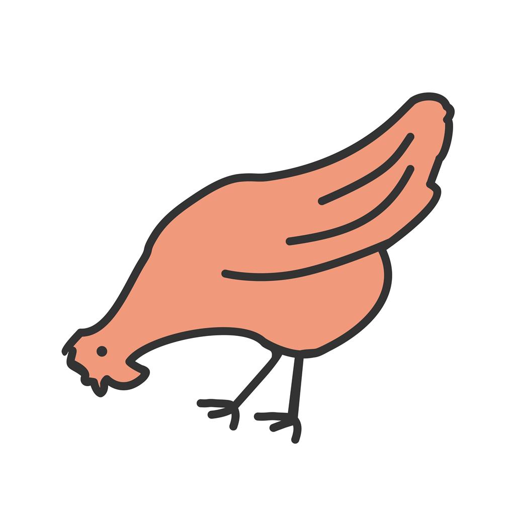Chicken Line Filled Icon - IconBunny