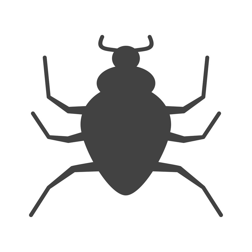 Spider Insect Glyph Icon - IconBunny
