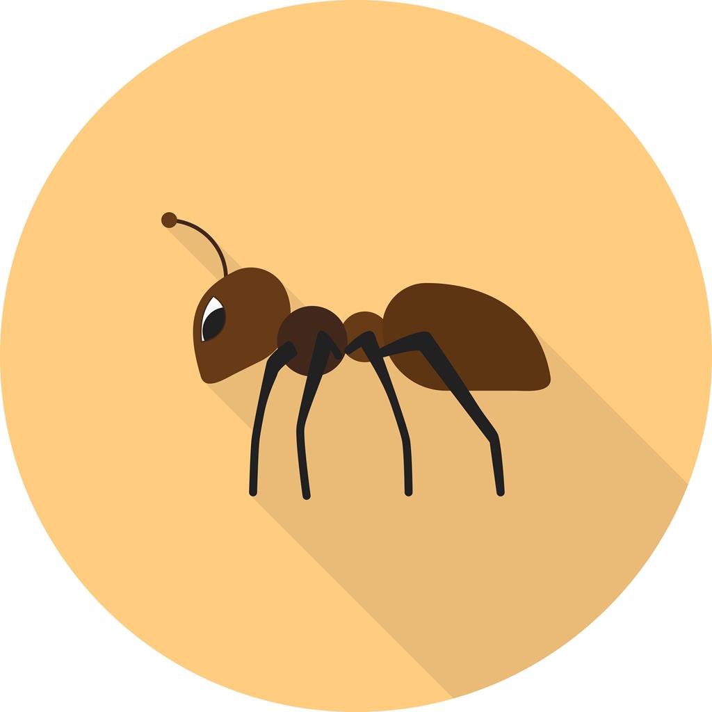 Ant II Flat Shadowed Icon - IconBunny
