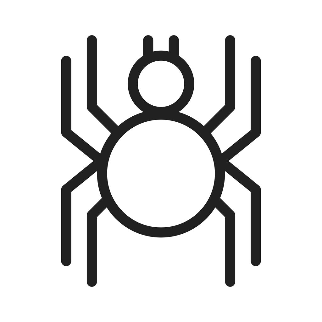 Spider Line Icon - IconBunny
