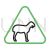 Animal sign I Line Green Black Icon - IconBunny