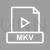 MKV Line Multicolor B/G Icon - IconBunny
