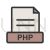 PHP Line Filled Icon - IconBunny