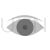 Eye Greyscale Icon - IconBunny