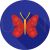 Butterfly Flat Shadowed Icon - IconBunny