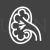 Kidney Line Inverted Icon - IconBunny
