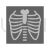 Lungs X ray Greyscale Icon - IconBunny