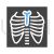 Lungs X ray Blue Black Icon - IconBunny