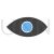 Eye Blue Black Icon