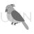 Bird Greyscale Icon - IconBunny