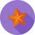 Starfish Flat Shadowed Icon - IconBunny
