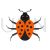 Bug Flat Multicolor Icon - IconBunny
