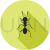 Ant Flat Shadowed Icon - IconBunny