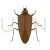 Cockroach Flat Multicolor Icon - IconBunny